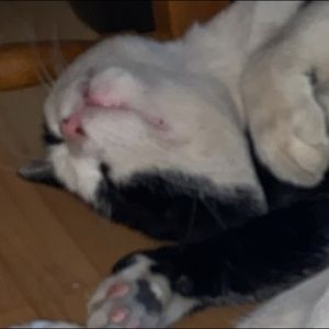 Meet your Posher, Lesslie